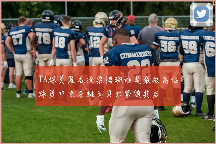 TA球员匿名投票揭晓谁是最被高估球员申京夺魁戈贝尔紧随其后